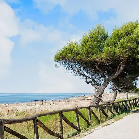 Lejlighed With Pool Access Near *